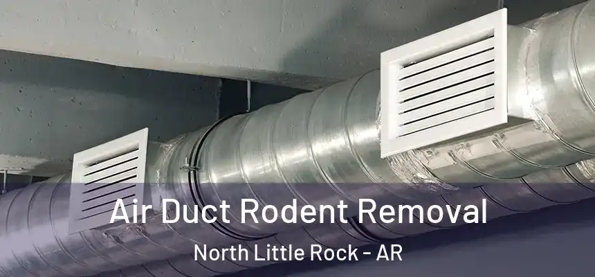  Air Duct Rodent Removal North Little Rock - AR