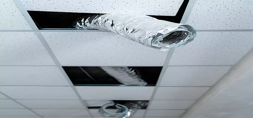 Our Air Duct Pet Hair Removal Services in North Little Rock, AR