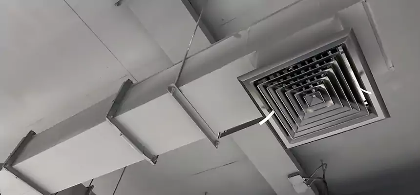 Our Rodent Droppings In Vents Services in North Little Rock, AR