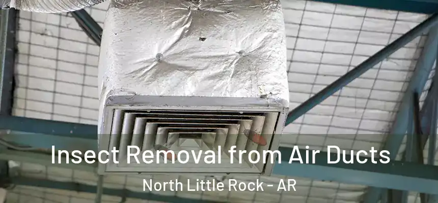 Insect Removal from Air Ducts North Little Rock - AR