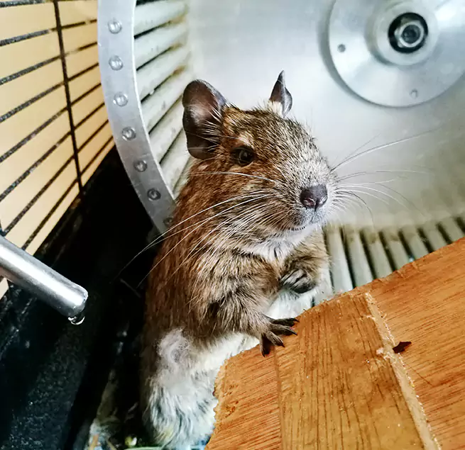 Why Homeowners & Businesses Trust Us North Little Rock, AR